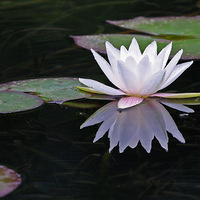 ˯������