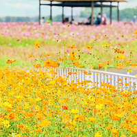 ���ݺ�����֪���Ĵ�Ƭ��������ĩ���Գ���