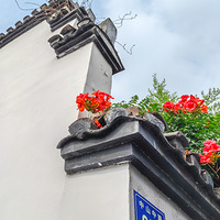 â�֣���������������     2023.06.06