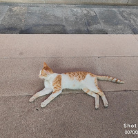 Ȫ�ݿ�Ԫ������1