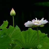 ��Ժ̽�ɣ�2023.6.6.��