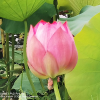 �ɻ���½������