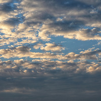 ����һ����Ϊ�㵲��