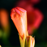 �� �ͻ�������