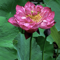 ��¥С�㳡�����Ժɻ�    2023.06.08