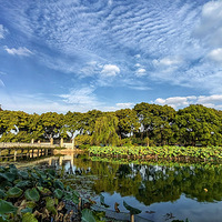 ���յ���