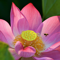 ���ҳ������ĺɻ���2023.6.10.��