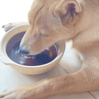 ñˮʣ˽ţˣ÷ʪ