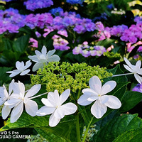 �����޾�������������