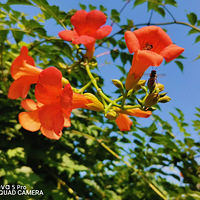 ����һƬ������һ��ش�����������һ����ζ