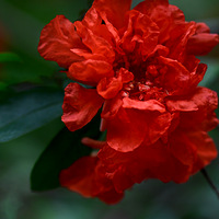 �� �ͻ�ʯ��