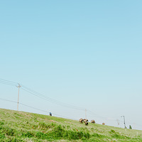 ʢ�����Ӷ�