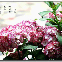 Ϸ���۳������