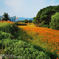 ���µ����Ļ���