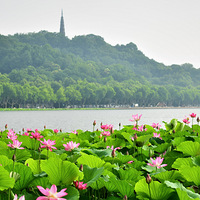 ��ɽ·ƽ�������Ժɻ�ʢ����2023.6.12.��