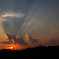 ����ص�Ү�չ�