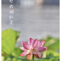 ��î��������