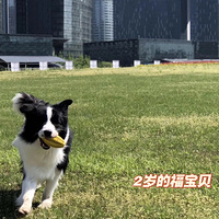 ݵһö˧Ů