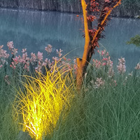 6��9�ձ����Ӱ���