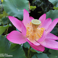 Ϊ�ɶ�������ɶ���������һ���ͺɼ���