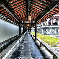 �����ػ�����34-���������˲�Ӱ�ӳ�3