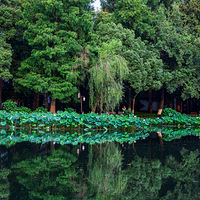 ��Ժ�������İ���