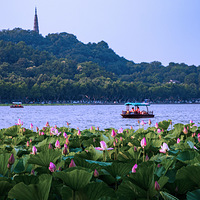 �����ɻ�������