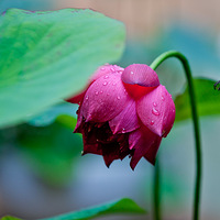 ����     2023.06.13