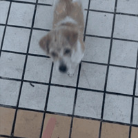 Сվż˹ǩ棬̫ůˣ