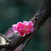 ��֮����