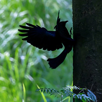 û���ù�Ȧ���������ĳɲ�̫�����ļ�Ӱ