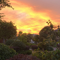 ���ճ�����ˮˮ��