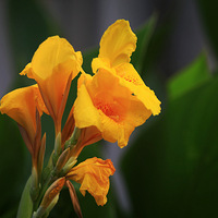 �糿�߹��ӷ���