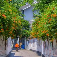 �����Ļ�֮Ѥ�ã���Ϊ������