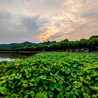 ��ҹ����ҹ��  2023.06.15