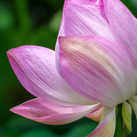 ������������ߡ�