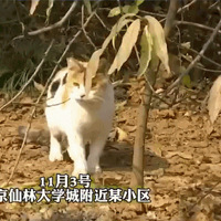 è䷢С͵ԣܵɳϼ๤6ӣû͵