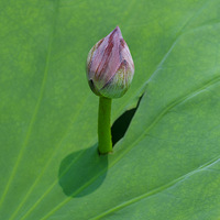 ʲô�Ǻɻ���ʲô��������