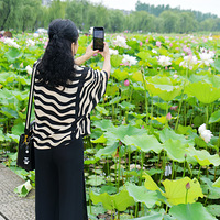 ����ɻ��Ͱ��ղ�