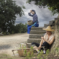 ����������