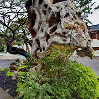 ���ε��ٹ�