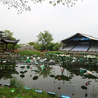 ��Ϫʪ��������Ž�