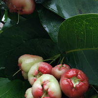 ˮ�����������