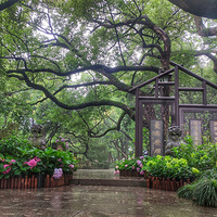 ������ɽ