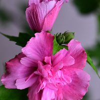 �� �ͻ�ľ�Ȼ�