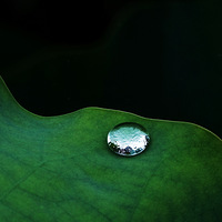 ���ҳ�У���ɻ�