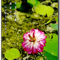 ���°����Դ��