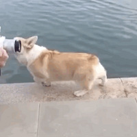 ЩӣžͲˡԭǰӶˣ