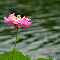 ��Ժ�ɻ���������  2023.6.19.