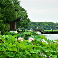 ��Ժ�����������  2023.6.19.